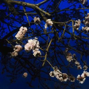 裸体杨幂张开腿露出尿口让我捅
